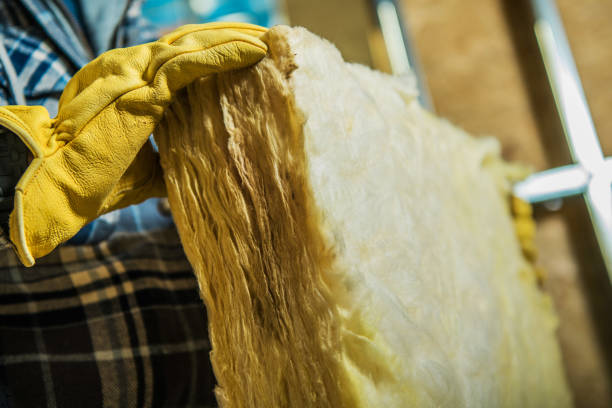 Best Insulation Removal  in Fairfield, IA
