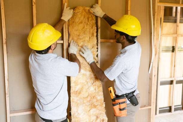 Best Insulation Contractors for Homes  in Fairfield, IA